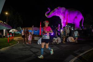 BIB: 
                            <button type="button" onclick="openModal(26552198)" class="btn btn-primary btn-sm float-right btn-popup" data-toggle="modal" data-target=".modal-high-quality">
                        <i class="fas fa-shopping-cart"></i> Add to Cart
                    </button>
                                            <button type="button" onclick="isThisMe(26552198, true)" class="btn btn-success btn-sm float-right btn-popup btn-isme hidden" data-toggle="tooltip" data-placement="bottom" title="นี่คือรูปของคุณใช่ไหม คลิกที่นี่เพื่อเอาเข้าอัลบั้ม">
                        <i class="fas fa-plus"></i> Add to album
                    </button>
                    <button type="button" onclick="isThisMe(26552198, false)" class="btn btn-warning btn-sm float-right btn-popup btn-isnotme hidden">
                        <i class="fas fa-ban"></i> Remove from album
                    </button>